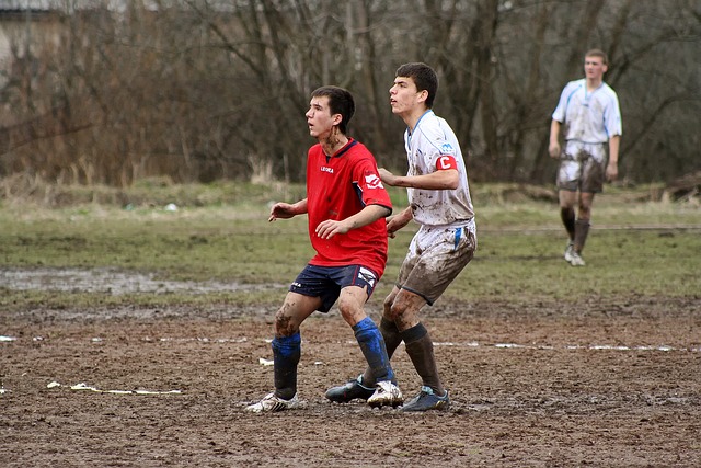 年度灰狼時 年度灰狼時