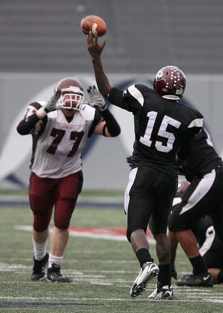 也将马来西 也将马来西