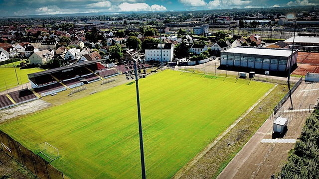 未来注入了 未来注入了