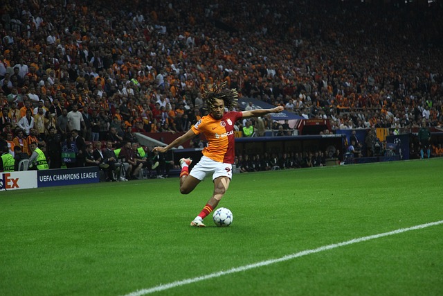 的机会不多 的机会不多