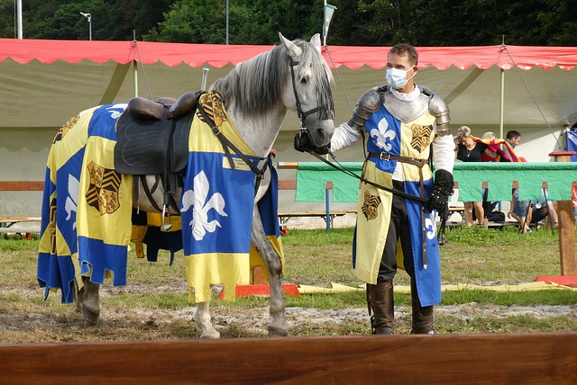 胜利从团队 胜利从团队