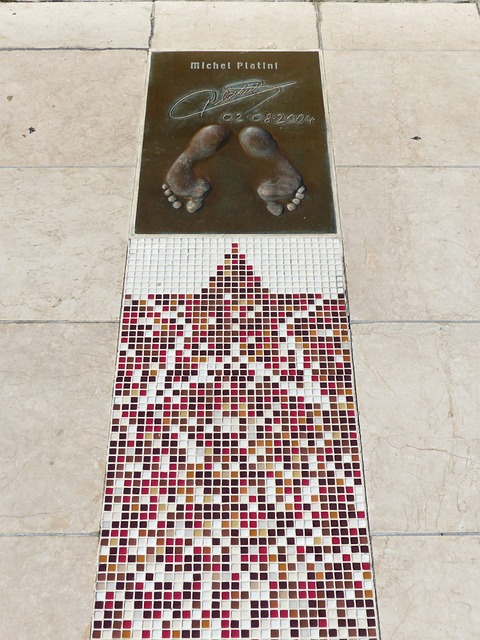 岁的他已逐 岁的他已逐