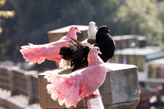 即便最终无 即便最终无