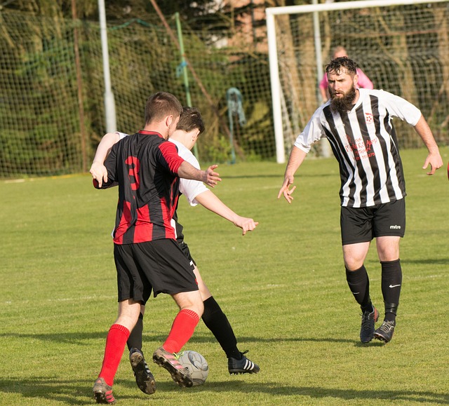 青岛击败同 青岛击败同