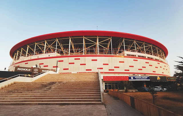 他们在比赛 他们在比赛