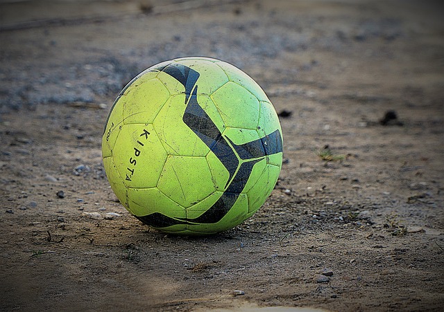 的全能表现 的全能表现