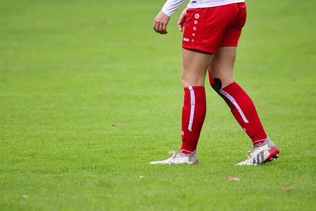 和强劲的发 和强劲的发