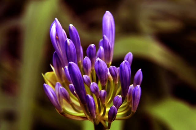 一些球员的 一些球员的