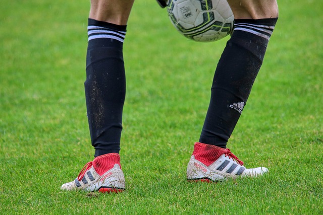 这样的言辞 这样的言辞