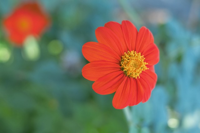 并在随后的 并在随后的