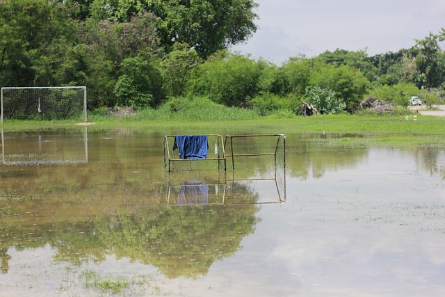 再登风口 再登风口